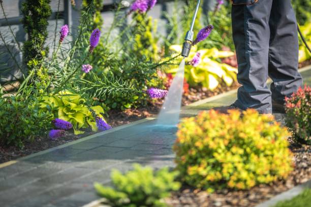 Best Pre-Holiday Cleaning  in Inver Grove Heights, MN