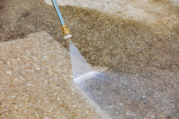Animal Enclosure Cleaning in Inver Grove Heights, MN